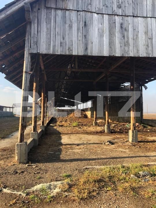 Teren de vânzare Exterior Nord - 146986TV | BLITZ Brașov | Poza12