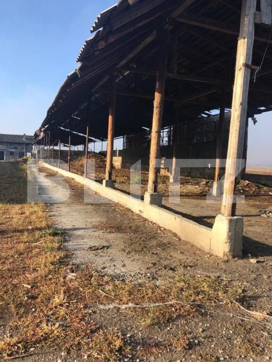 Teren de vânzare Exterior Nord - 146986TV | BLITZ Brașov | Poza14