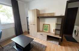 Apartament 2 camere, 50 mp, mobilat modern, zona strazii Mehedinti