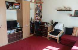 2 camere, 45 mp, boxa susol, garaj, complet mobilat, zona centrala