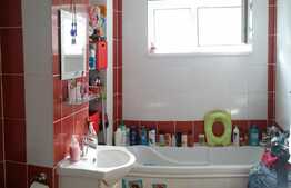 2 camere, 45 mp, boxa susol, garaj, complet mobilat, zona centrala