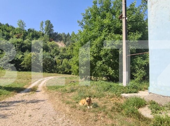 Spațiu industrial de vânzare Bartolomeu - 147063SVI | BLITZ Brașov | Poza6