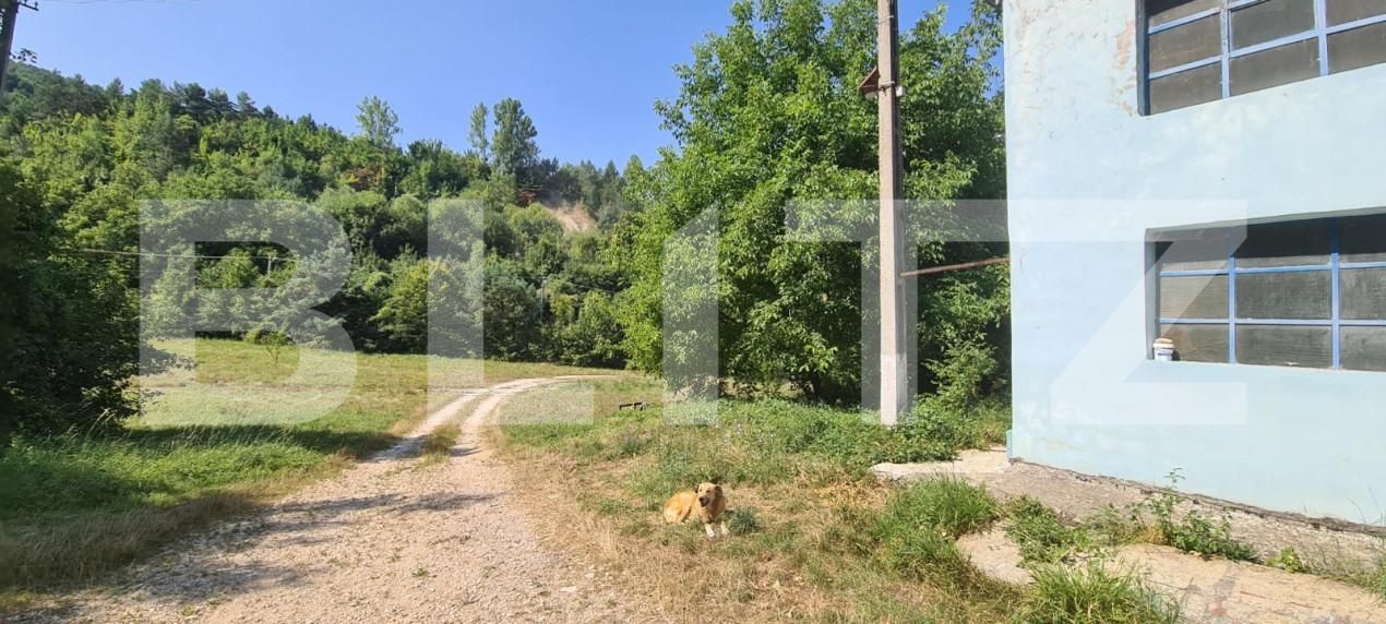 Spațiu industrial de vânzare Bartolomeu - 147063SVI | BLITZ Brașov | Poza6