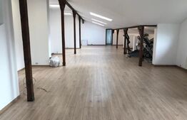 Spatiu comercial de 641 mp, 825 mp teren, Campina