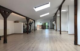 Spatiu comercial de 641 mp, 825 mp teren, Campina