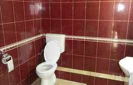 Apartament in imobil nou, dispus pe 2 nivele, 240 mp, zona verde