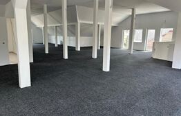 Spatiu open space, 265 mp, inaltime mare, ideal birouri/loc de joaca