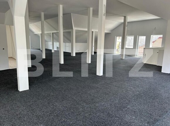 Spațiu birouri de închiriat Manastur - 147105SIB | BLITZ Cluj-Napoca | Poza2