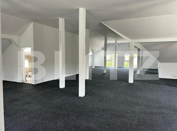 Spațiu birouri de închiriat Manastur - 147105SIB | BLITZ Cluj-Napoca | Poza1