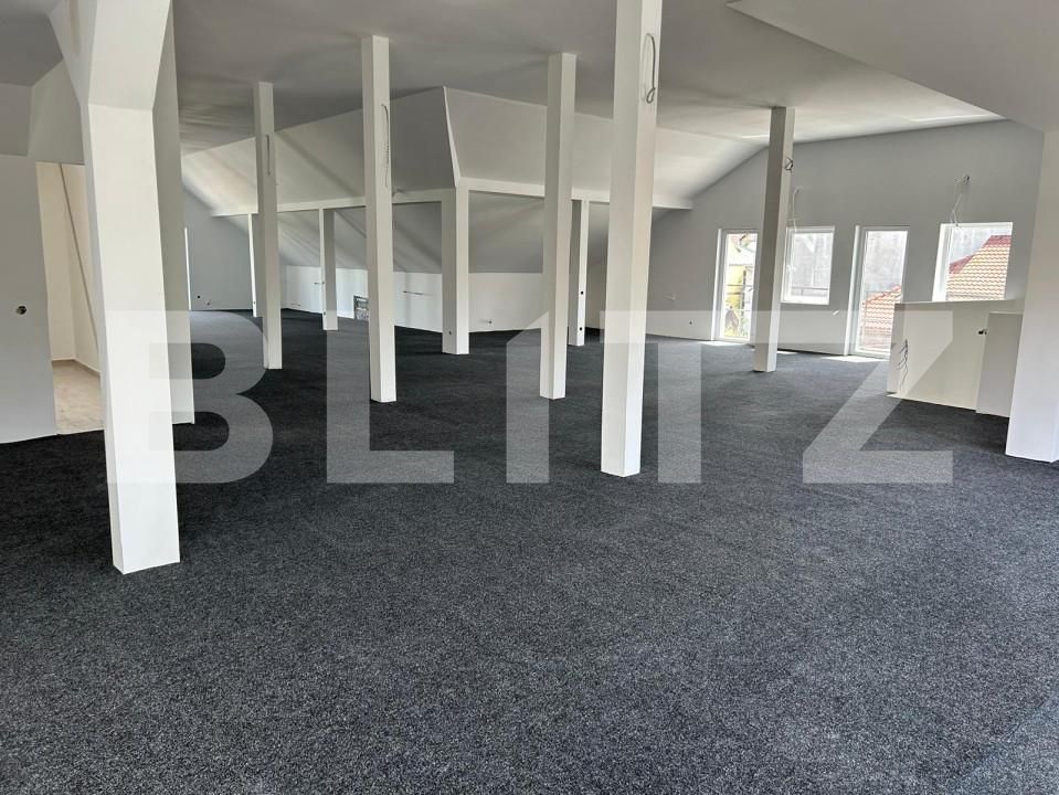 Spațiu birouri de închiriat Manastur - 147105SIB | BLITZ Cluj-Napoca | Poza2