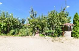 Casa individuala 330 mp, 558 mp teren, Someseni