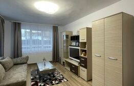 Casa individuala 330 mp, 558 mp teren, Someseni