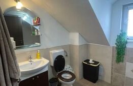 Casa individuala 330 mp, 558 mp teren, Someseni