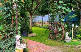 Casa individuala 330 mp, 558 mp teren, Someseni