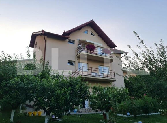 Casa de vânzare 9 camere Făget - 147125CV | BLITZ Cluj-Napoca | Poza1