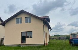 Casa individuala, 3 camere, 920 mp curte, Salistea Noua