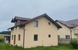 Casa individuala, 3 camere, 920 mp curte, Salistea Noua