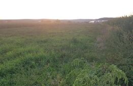 Teren intravilan, 5800 mp, 24 ml front, Jucu de Mijloc