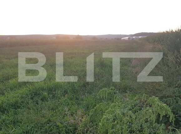 Teren de vânzare Jucu de Mijloc - 147157TV | BLITZ Cluj-Napoca | Poza1