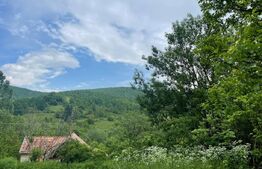 Teren la Munte, Magura Ierii, 1913 mp, intravilan 