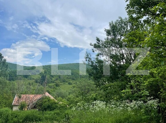 Teren de vânzare Exterior Sud - 147160TV | BLITZ Cluj-Napoca | Poza3