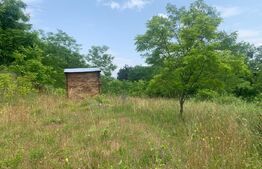 Teren extravilan, 865 mp, Capusu Mare