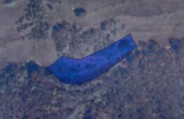 Teren extravilan, 3000 mp, Capusu Mare