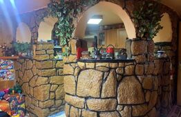 Casă individuală cu 5 camere și teren de 1231 mp în Suceagu!