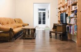 Casa individuala, teren 1160 mp, Dambul Rotund