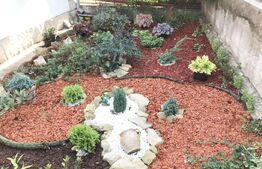 Casa individuala, teren 1160 mp, Dambul Rotund