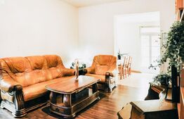 Casa individuala, teren 1160 mp, Dambul Rotund