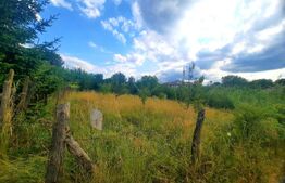 Teren intravilan 534 mp,cu PUZ aprobat prin HCL, in cartierul Buna Ziua