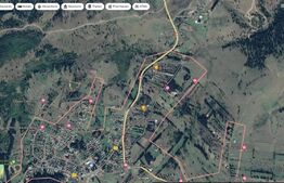 Teren intravilan 19360mp , situat in Belis 