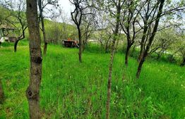 Teren intravilan 3040 mp, zona Donath