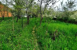 Teren intravilan 3040 mp, zona Donath