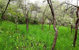 Teren intravilan 3040 mp, zona Donath