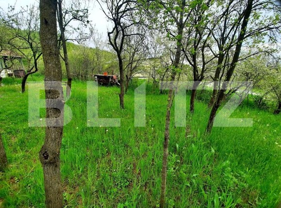 Teren de vânzare Grigorescu - 147192TV | BLITZ Cluj-Napoca | Poza3