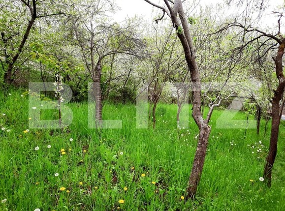 Teren de vânzare Grigorescu - 147192TV | BLITZ Cluj-Napoca | Poza4