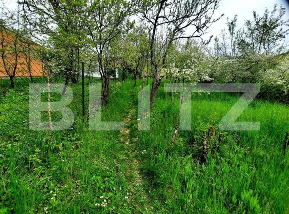 Teren de vânzare Grigorescu - 147192TV | BLITZ Cluj-Napoca | Poza1