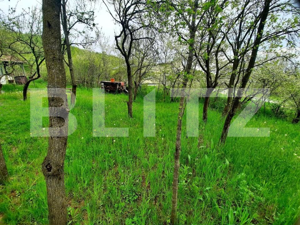 Teren de vânzare Grigorescu - 147192TV | BLITZ Cluj-Napoca | Poza3