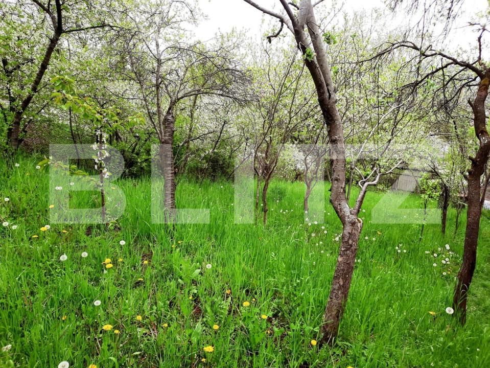 Teren de vânzare Grigorescu - 147192TV | BLITZ Cluj-Napoca | Poza4