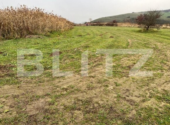 Teren de vânzare Sopor - 147193TV | BLITZ Cluj-Napoca | Poza3