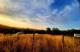 Teren intravilan 1129 mp, PUZ in lucru, in Borhanci 