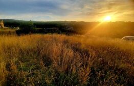 Teren intravilan 1129 mp, PUZ in lucru, in Borhanci 