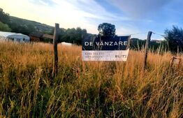 Teren intravilan 1129 mp, PUZ in lucru, in Borhanci 