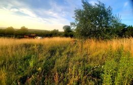 Teren intravilan 1129 mp, PUZ in lucru, in Borhanci 