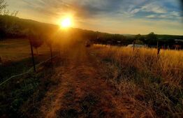 Teren intravilan 1129 mp, PUZ in lucru, in Borhanci 