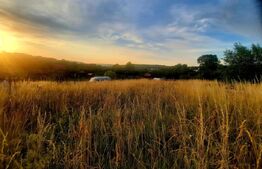 Teren intravilan 1129 mp, PUZ in lucru, in Borhanci 