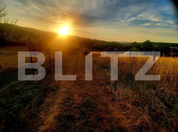 Teren de vânzare Borhanci - 147194TV | BLITZ Cluj-Napoca | Poza9