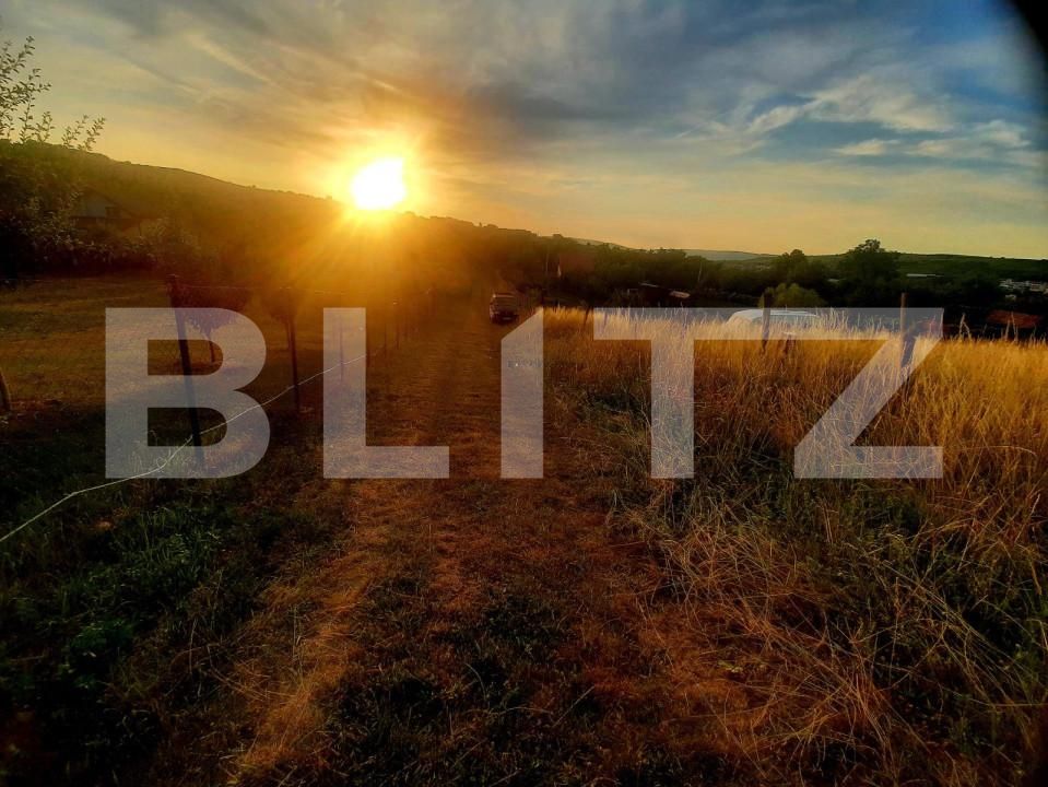 Teren de vânzare Borhanci - 147194TV | BLITZ Cluj-Napoca | Poza9